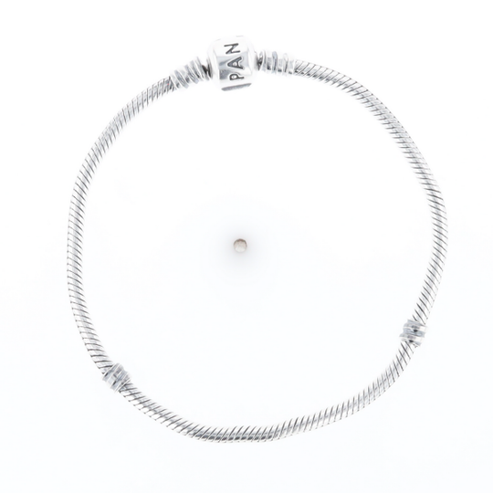 Pandora Moments Charm Bracelet