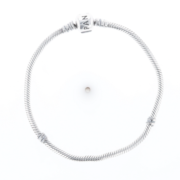 Pandora Moments Charm Bracelet