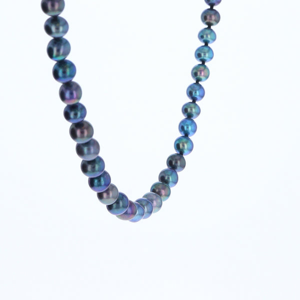 Cultured Tahitian Blue Pearl Strand Necklace