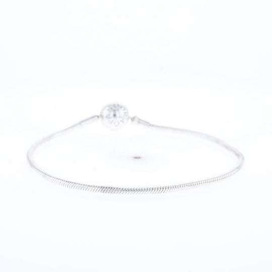 Pandora Moments Charm Bracelet