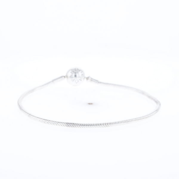 Pandora Moments Charm Bracelet