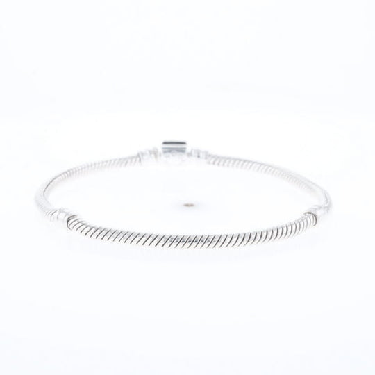 Pandora Moments Charm Bracelet