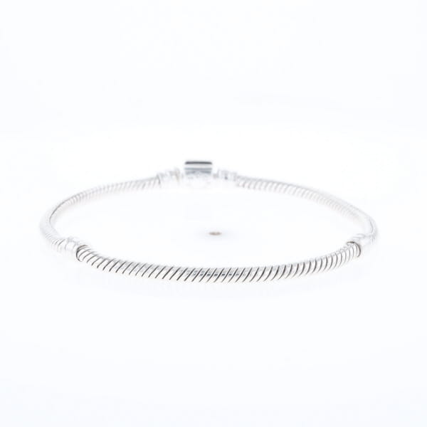 Pandora Moments Charm Bracelet