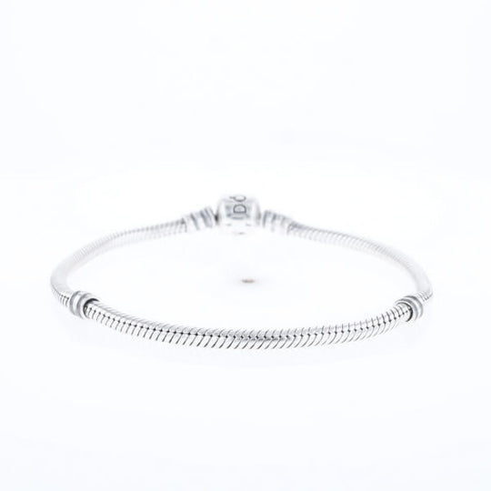 Pandora Moments Charm Bracelet