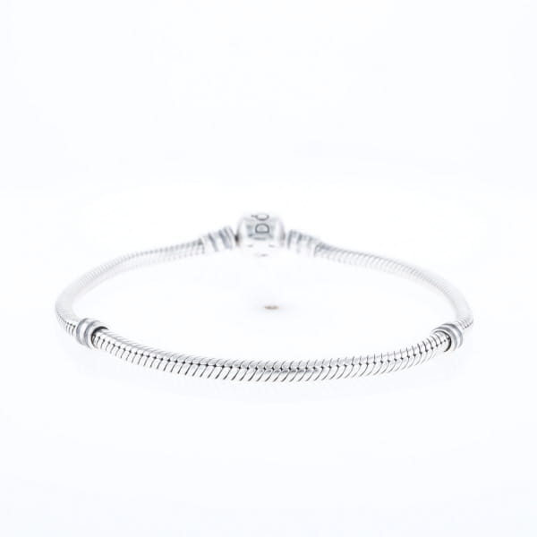 Pandora Moments Charm Bracelet