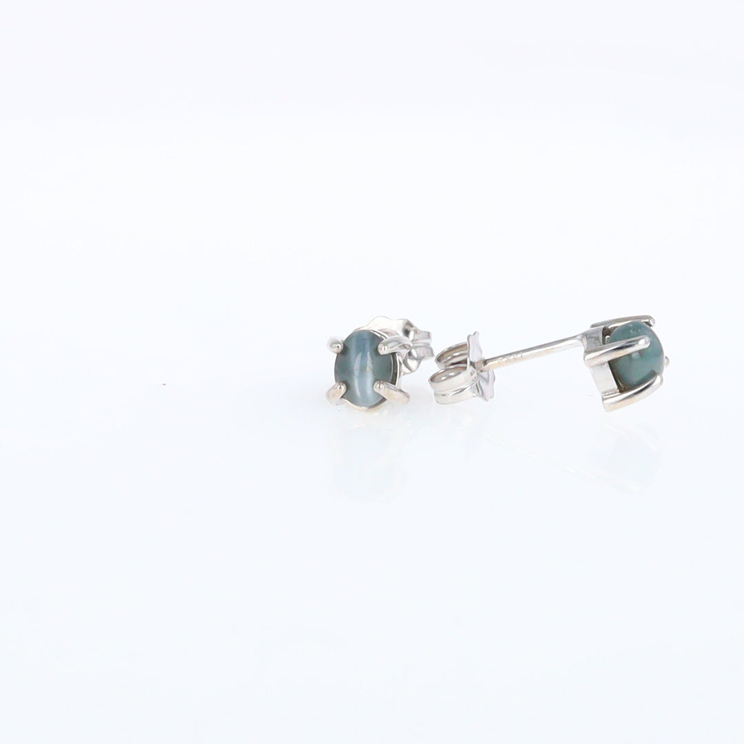 Cat's Eye Alexandrite Studs