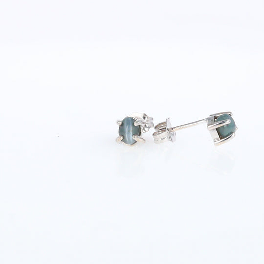 Cat's Eye Alexandrite Studs