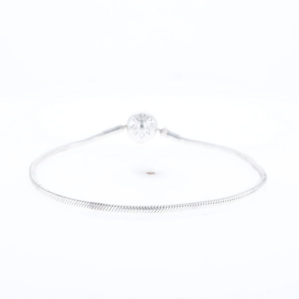 Pandora Moments Charm Bracelet