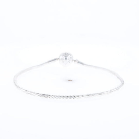 Pandora Moments Charm Bracelet