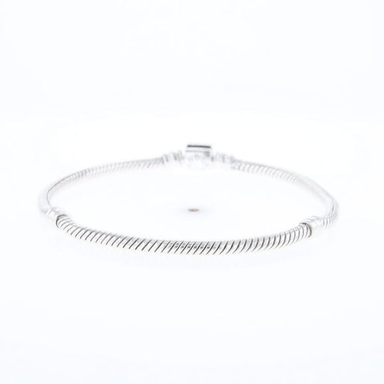 Pandora Moments Charm Bracelet