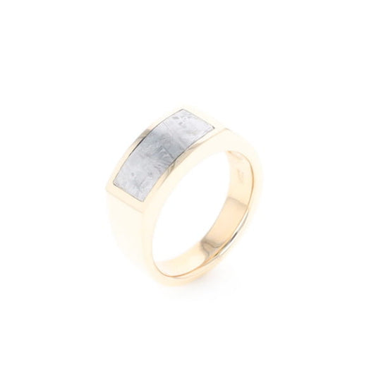 Rectangle Meteorite Inlaid Ring