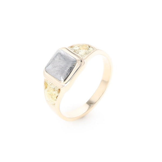 Meteorite & Gold Nugget Ring