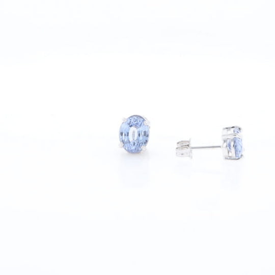 Ceylon Sapphire Stud Earrings