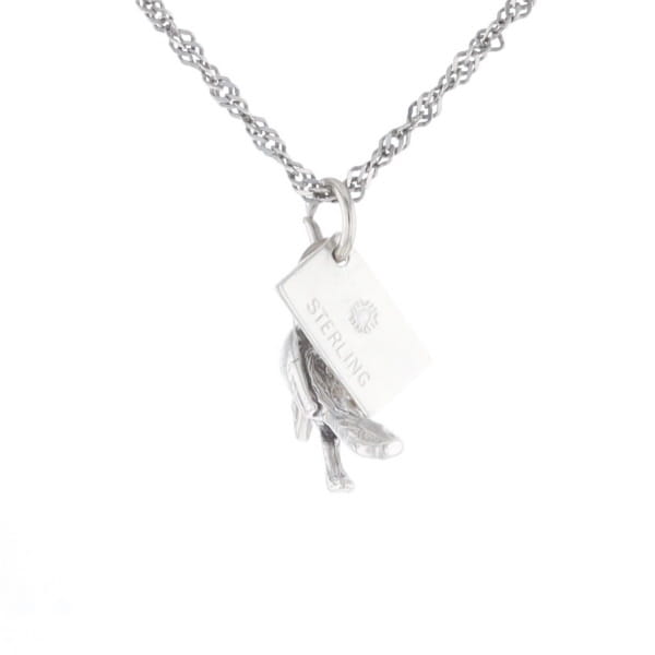 Carlsbad Caverns Roadrunner Charm