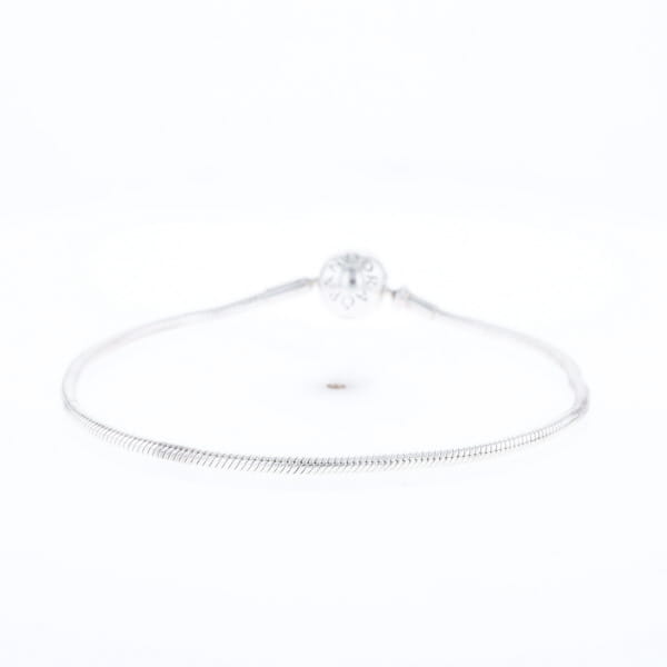 Pandora Moments Charm Bracelet