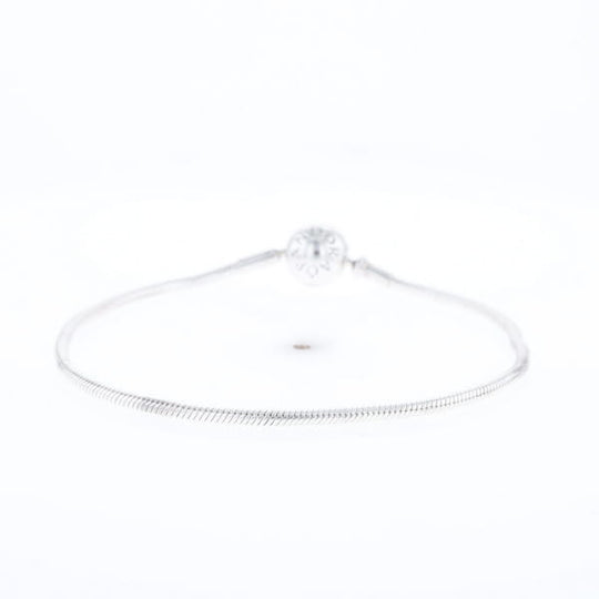 Pandora Moments Charm Bracelet