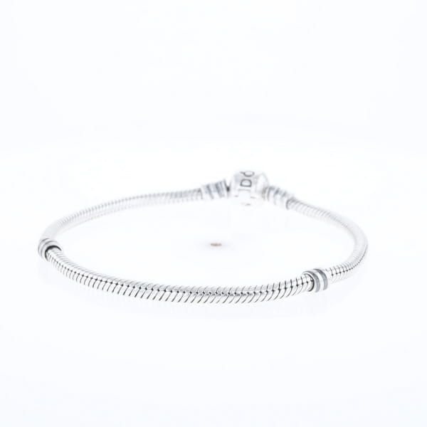 Pandora Moments Charm Bracelet