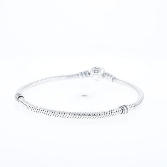 Pandora Moments Charm Bracelet