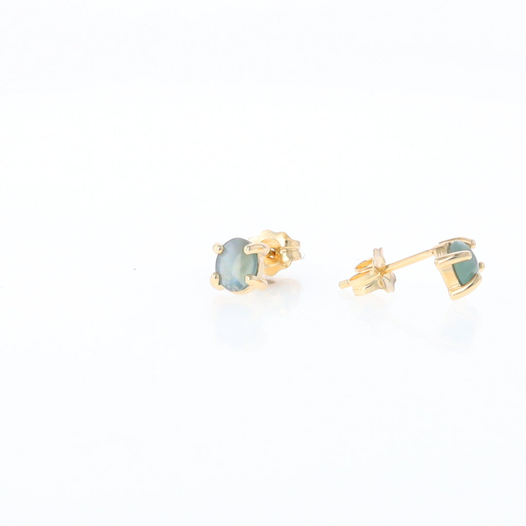 Cat's Eye Alexandrite Studs