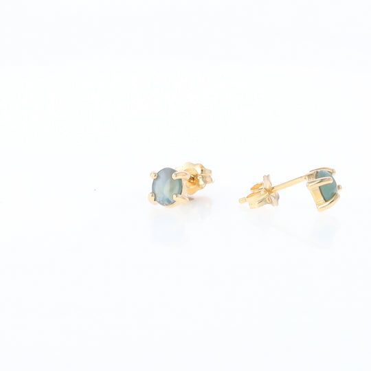 Cat's Eye Alexandrite Studs