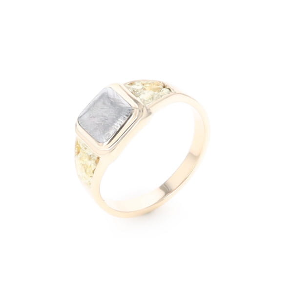 Meteorite & Gold Nugget Ring