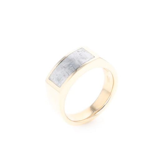 Rectangle Meteorite Inlaid Ring