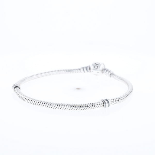 Pandora Moments Charm Bracelet