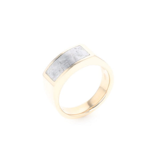 Rectangle Meteorite Inlaid Ring
