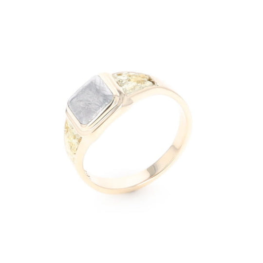 Meteorite & Gold Nugget Ring