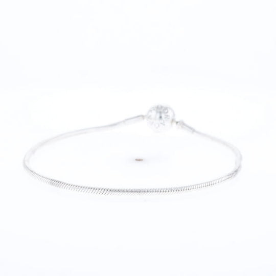 Pandora Moments Charm Bracelet