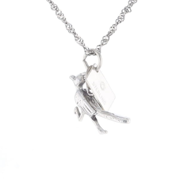 Carlsbad Caverns Roadrunner Charm