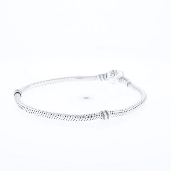 Pandora Moments Charm Bracelet