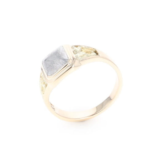 Meteorite & Gold Nugget Ring