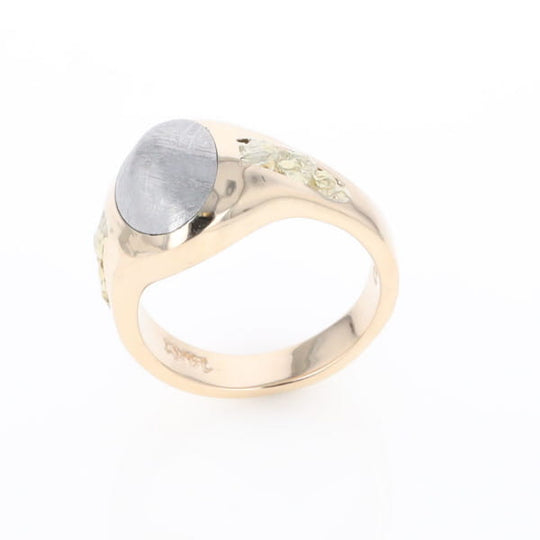 Oval Meteorite Inlaid Ring with Natural Gold Nuggets