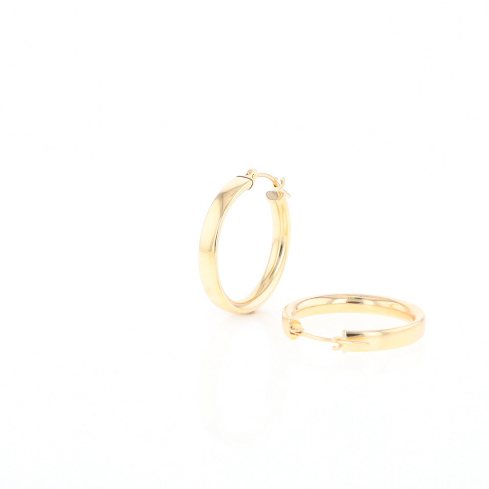 Gold Hoop Earrings