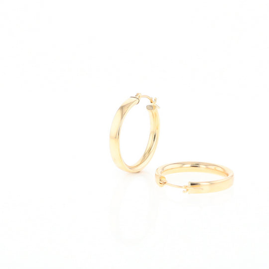 Gold Hoop Earrings