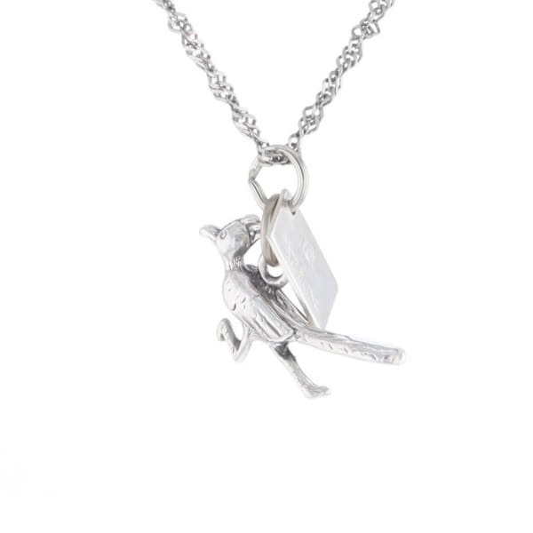 Carlsbad Caverns Roadrunner Charm