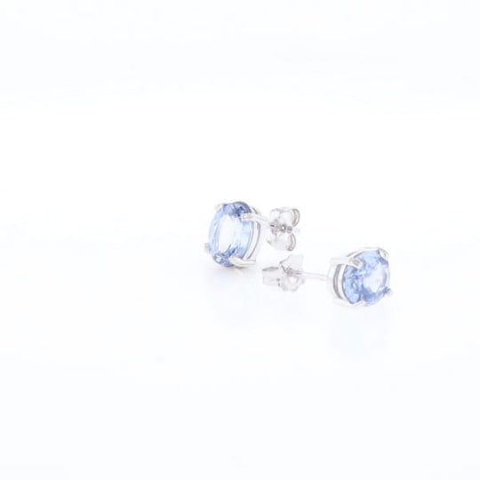 Ceylon Sapphire Stud Earrings