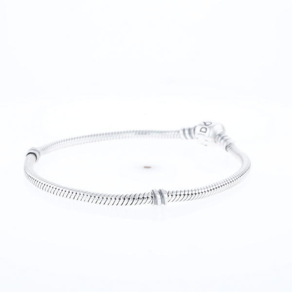 Pandora Moments Charm Bracelet