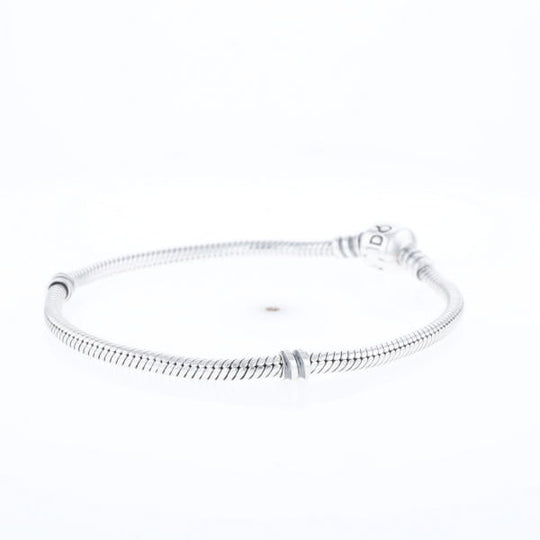 Pandora Moments Charm Bracelet