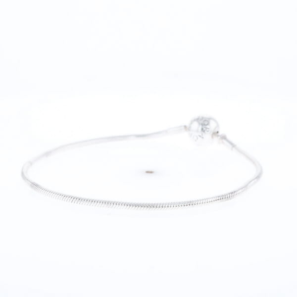 Pandora Moments Charm Bracelet