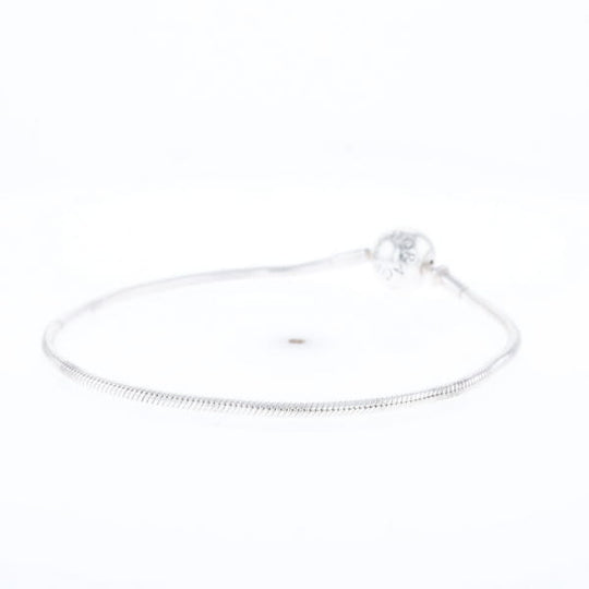 Pandora Moments Charm Bracelet