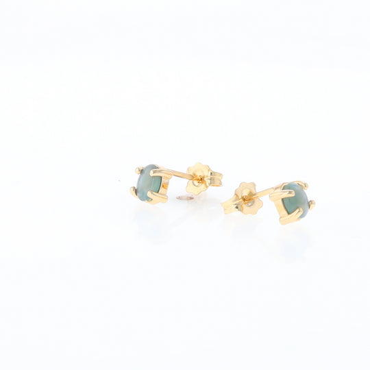 Cat's Eye Alexandrite Studs