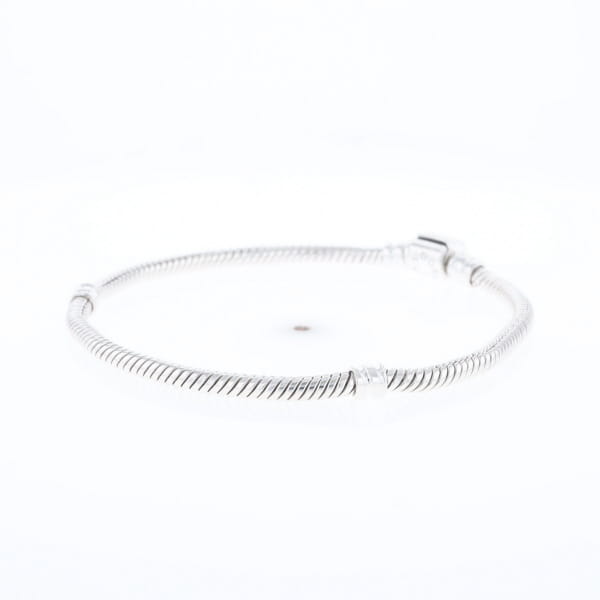 Pandora Moments Charm Bracelet