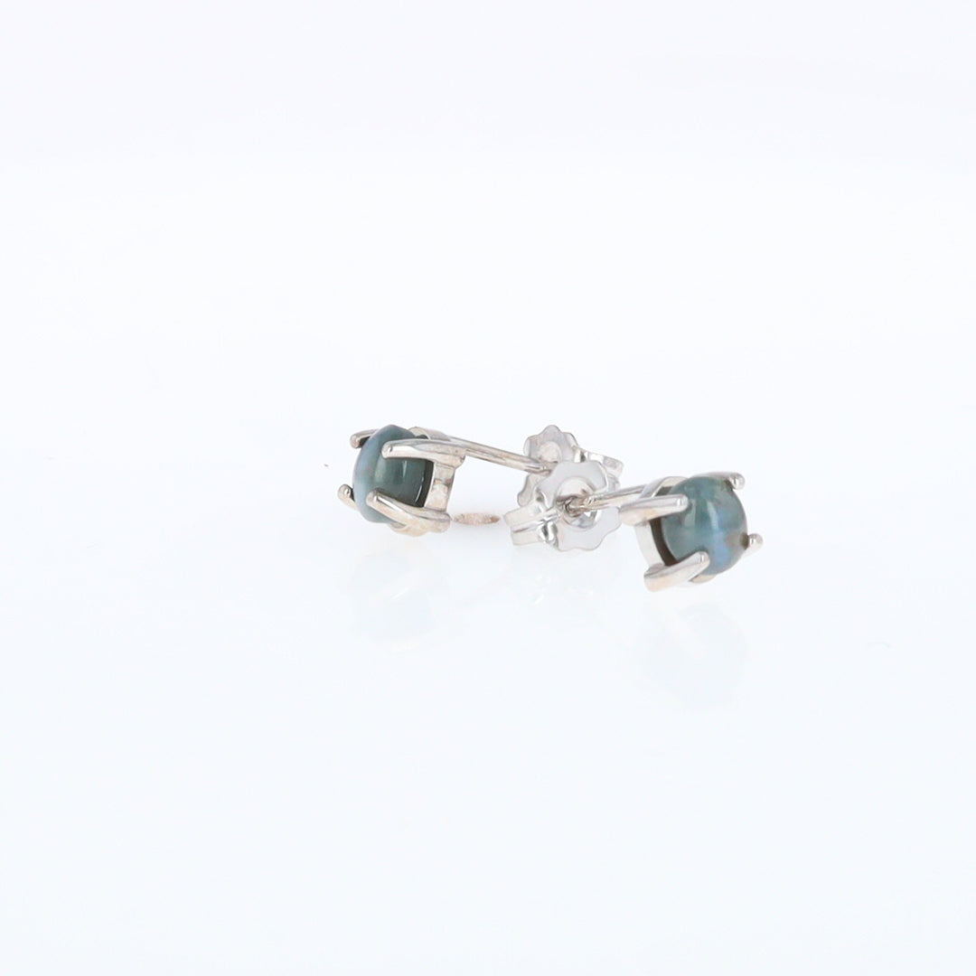 Cat's Eye Alexandrite Studs