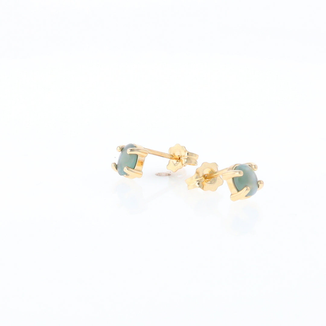 Cat's Eye Alexandrite Studs