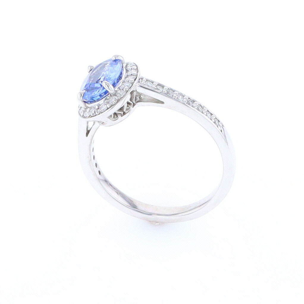 Oval Ceylon Sapphire with Diamond Halo Ring