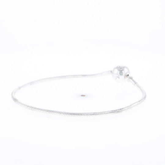 Pandora Moments Charm Bracelet