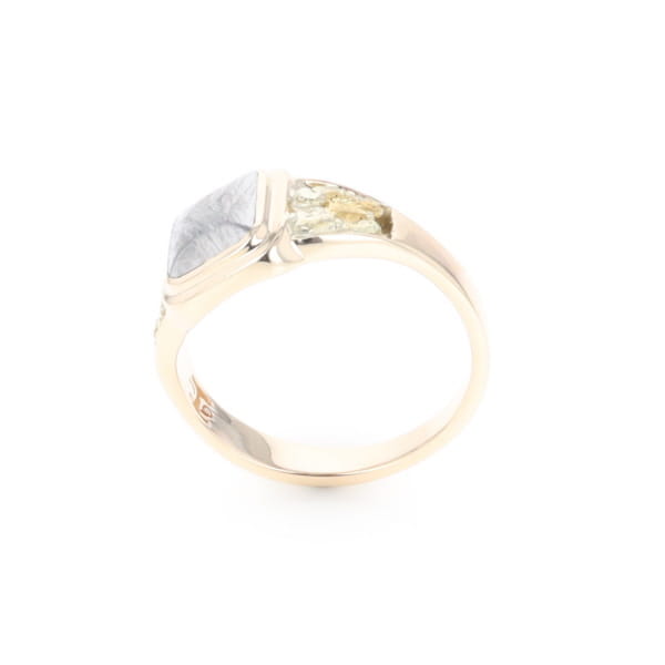 Meteorite & Gold Nugget Ring