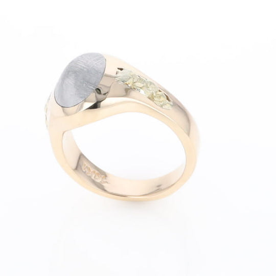 Oval Meteorite Inlaid Ring with Natural Gold Nuggets